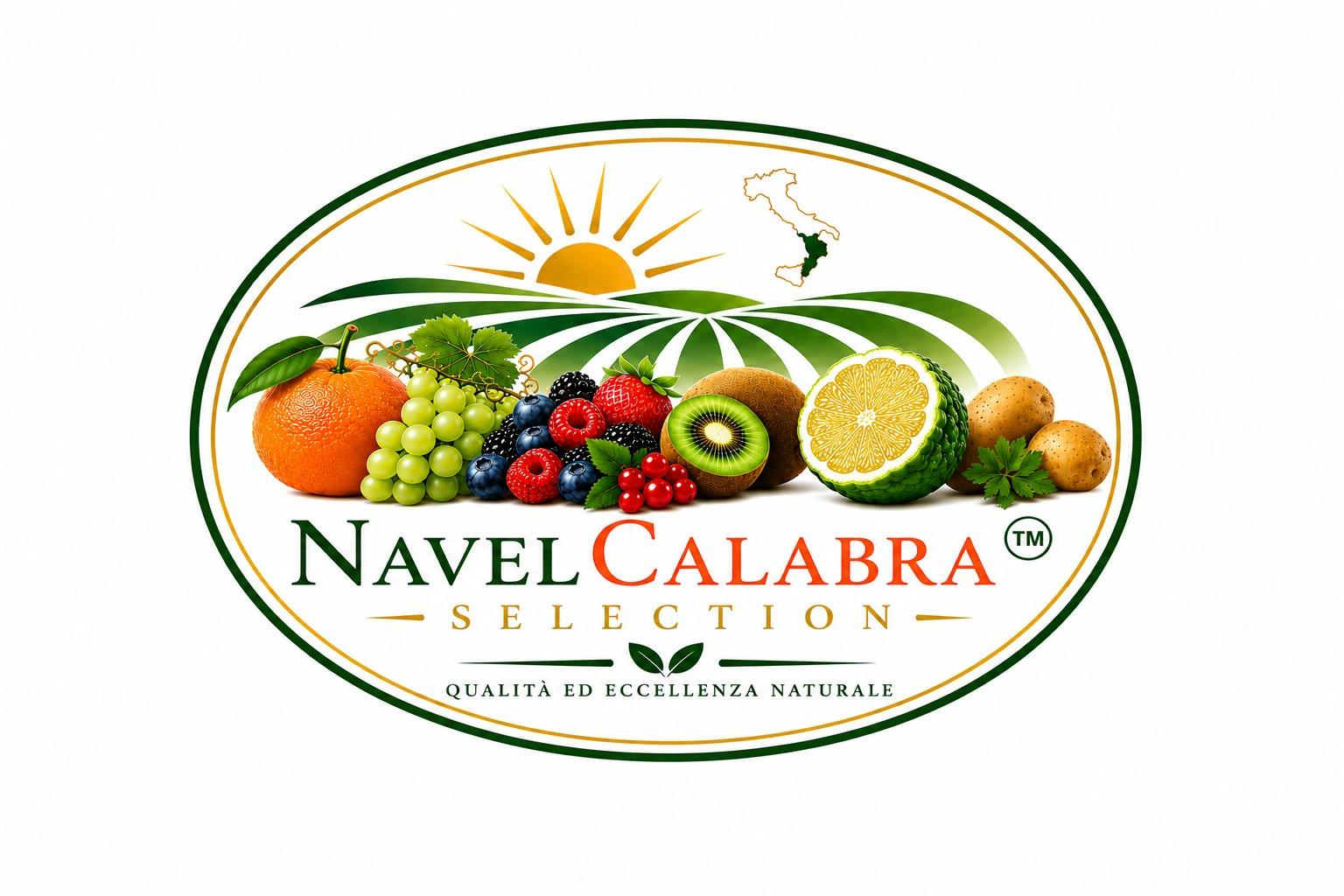 Logo Navelcalabra